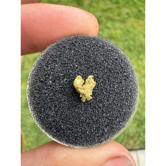 California Native Gold Crystal - 0.48 grams - Picture 2 of 5